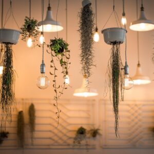 Lighting